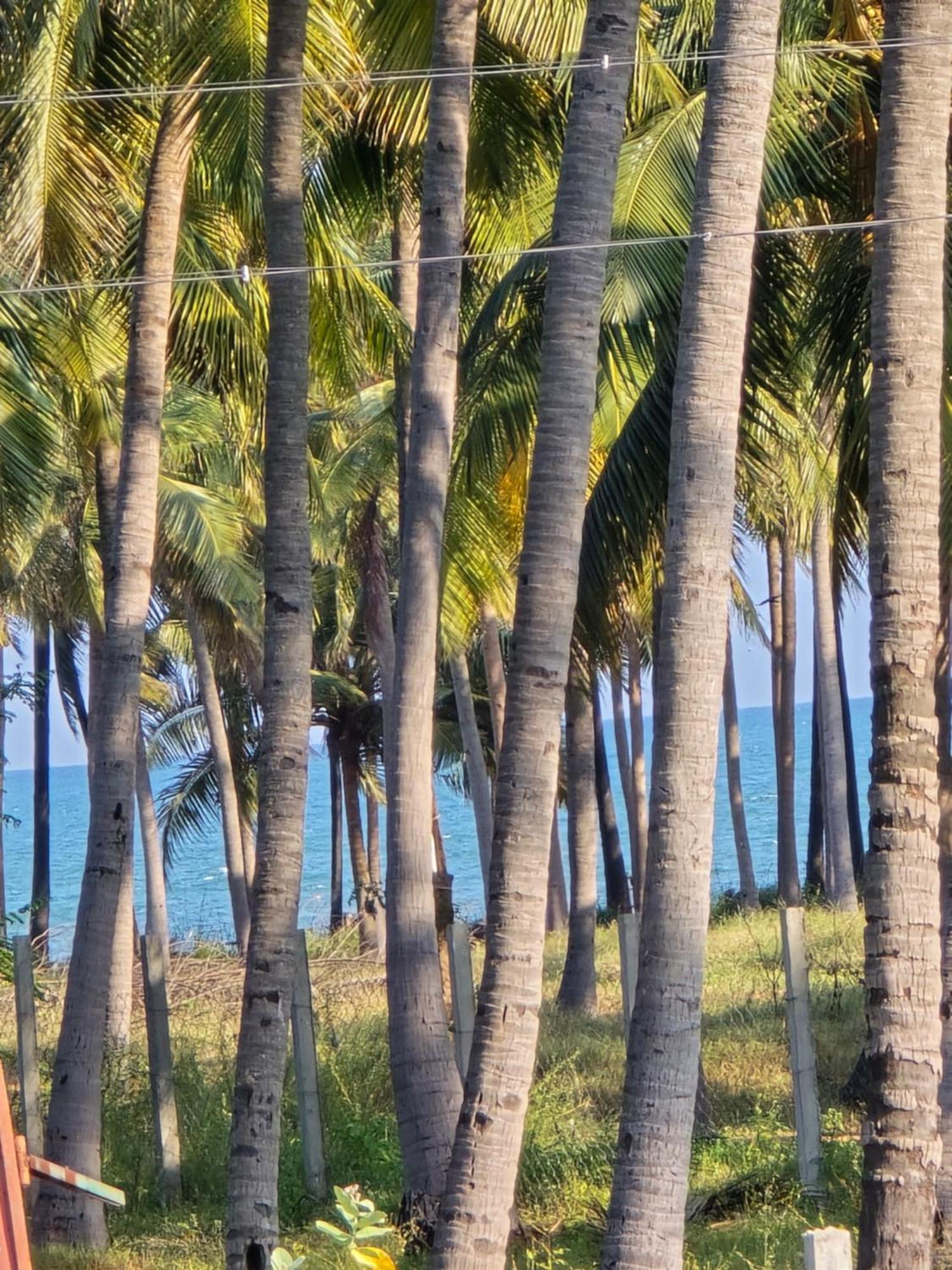 De Lumaa Beachside Stay Puducherry Zewnętrze zdjęcie